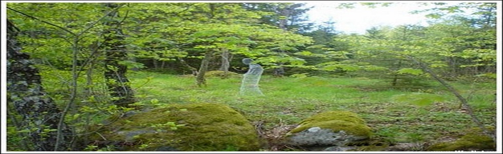 あなたの知らない世界